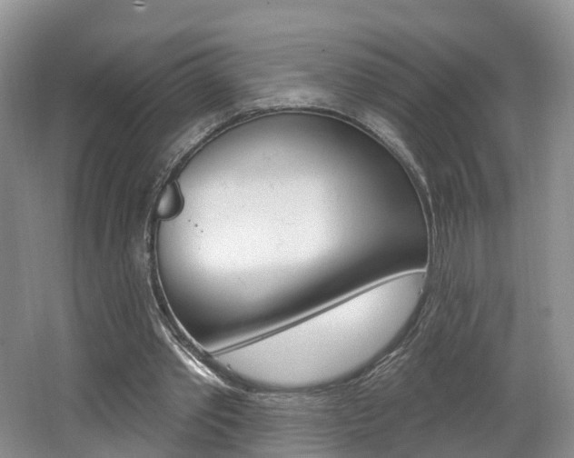 X0000062140389200512091022