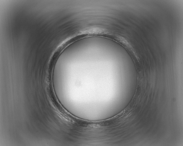 X0000062140392200512091022