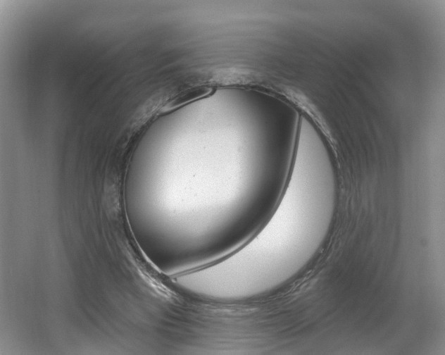 X0000062140393200512091022