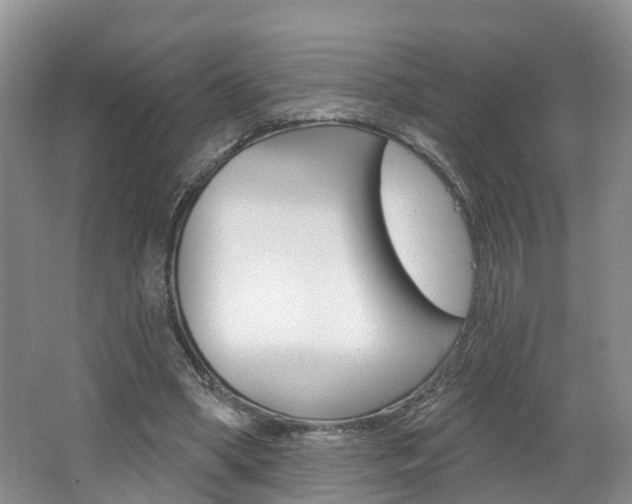 X0000062140394200512091022