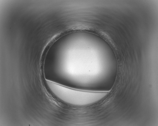 X0000062140395200512091022