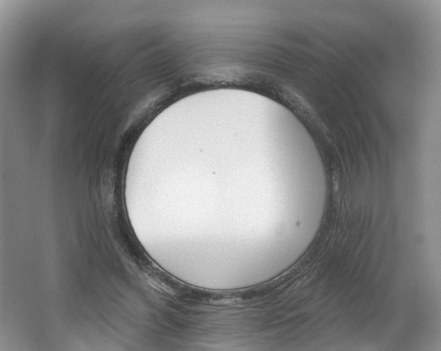 X0000062140396200512091022