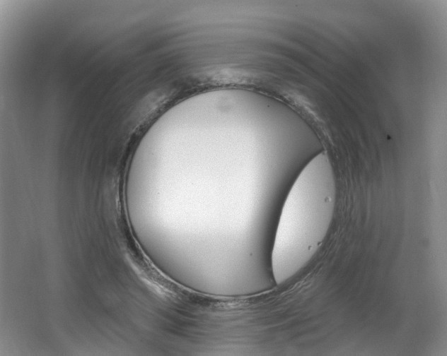 X0000062140398200512091022