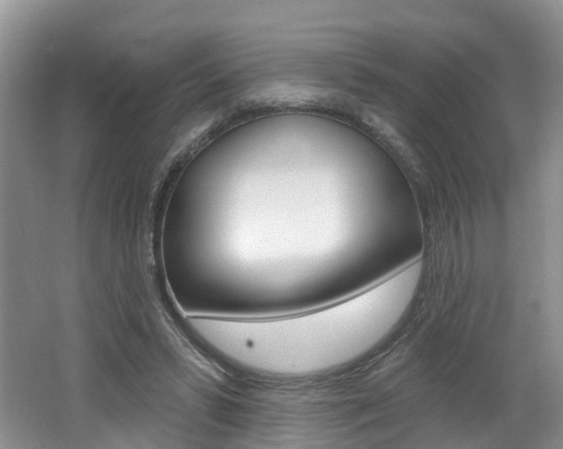 X0000062140399200512091022