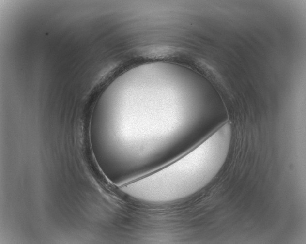 X0000062140400200512091022