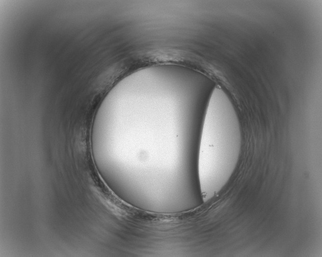 X0000062140402200512091022