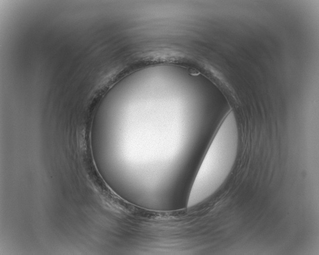 X0000062140403200512091022