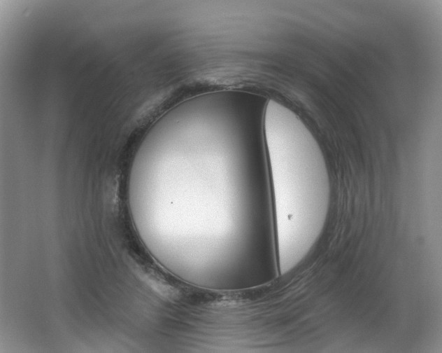 X0000062140404200512091022