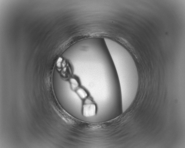 X0000062140405200512091022