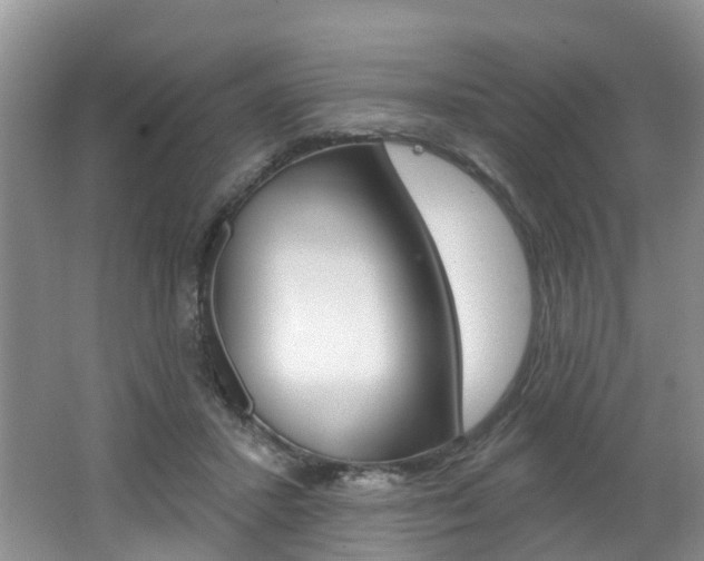 X0000062140407200512091022