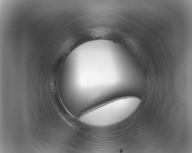 X0000062140408200512091022