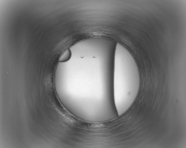 X0000062140410200512091022