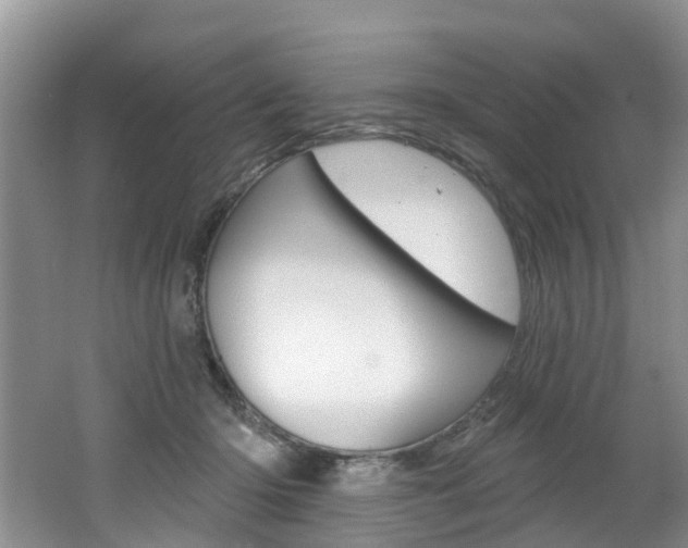 X0000062140414200512091022