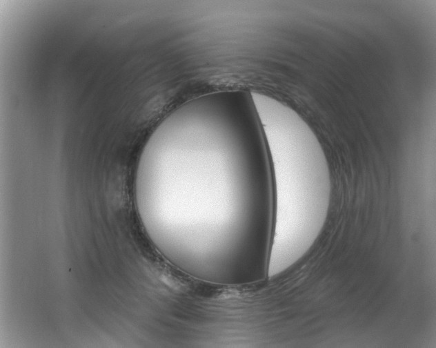 X0000062140416200512091022