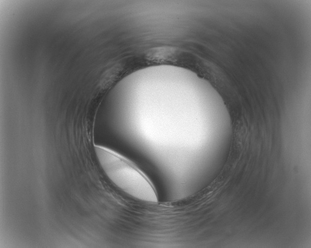 X0000062140420200512091022