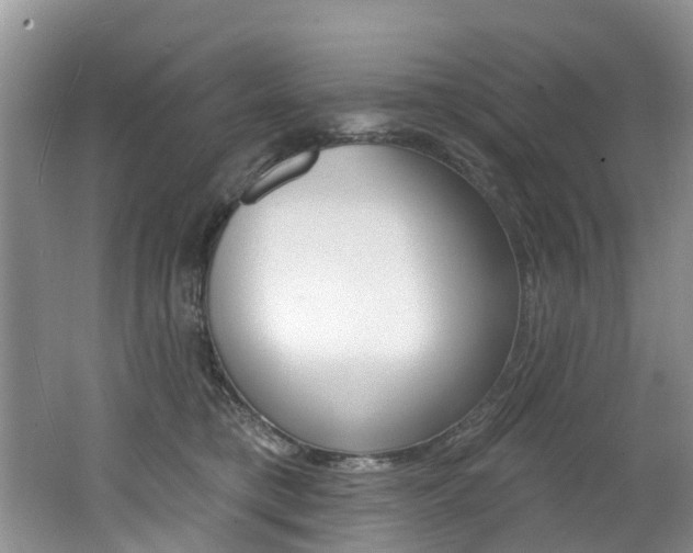 X0000062140421200512091022