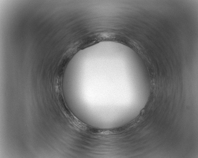 X0000062140423200512091022