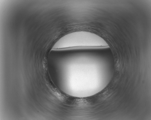 X0000062140424200512091022