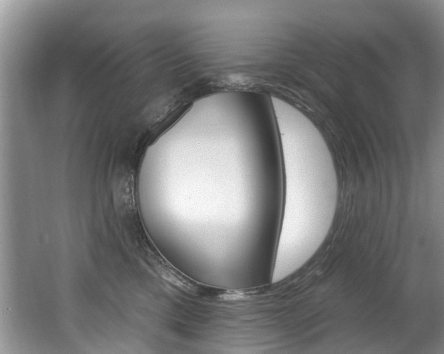 X0000062140425200512091022