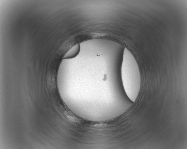 X0000062140426200512091022