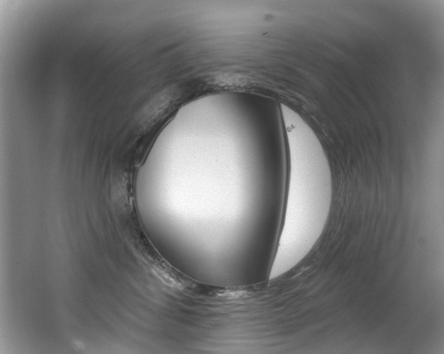 X0000062140428200512091022