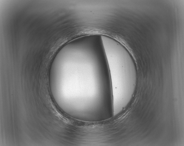 X0000062140433200512091021