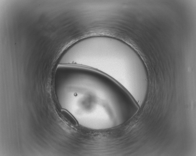 X0000062140434200512091021