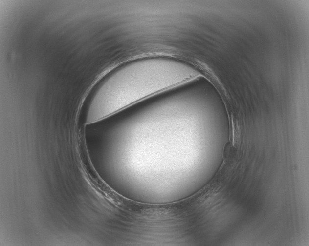 X0000062140435200512091021