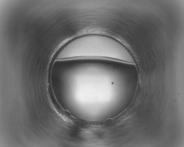 X0000062140438200512091021