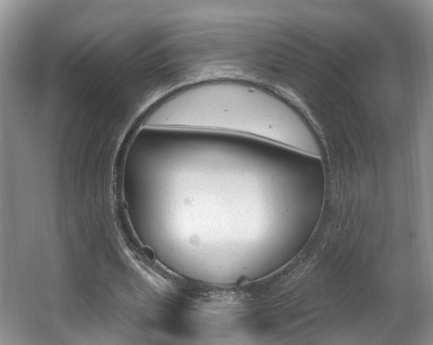 X0000062140439200512091021