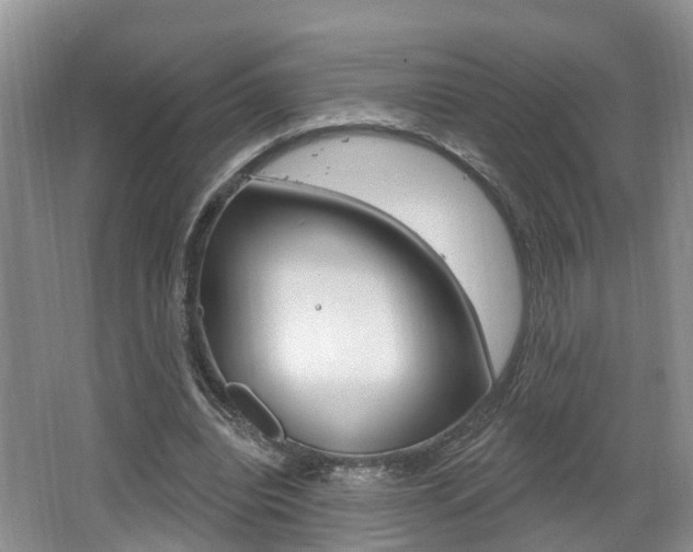 X0000062140440200512091021