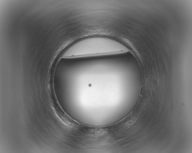 X0000062140443200512091021