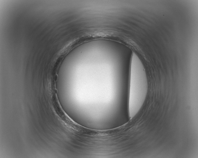 X0000062140444200512091021