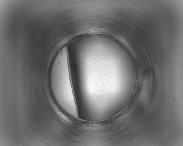 X0000062140445200512091021