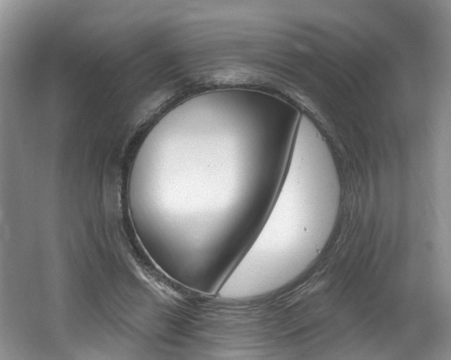 X0000062140446200512091021