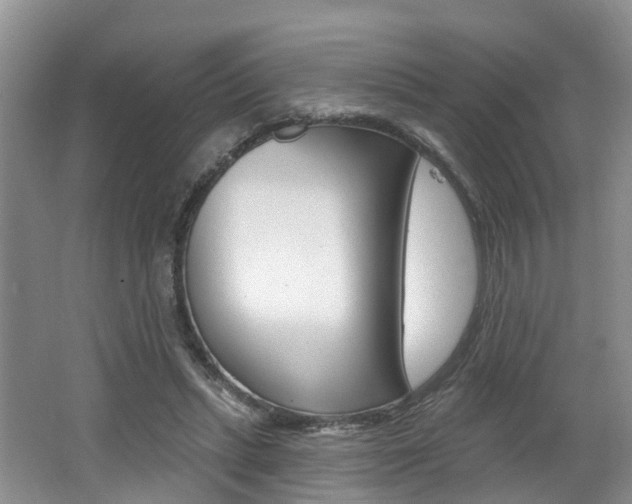 X0000062140447200512091021