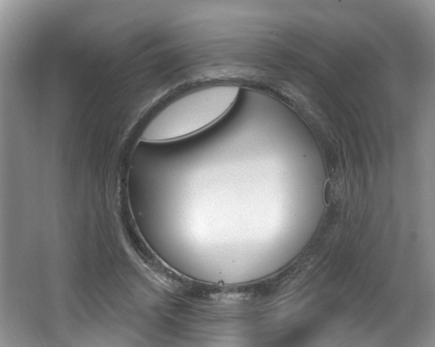 X0000062140448200512091021