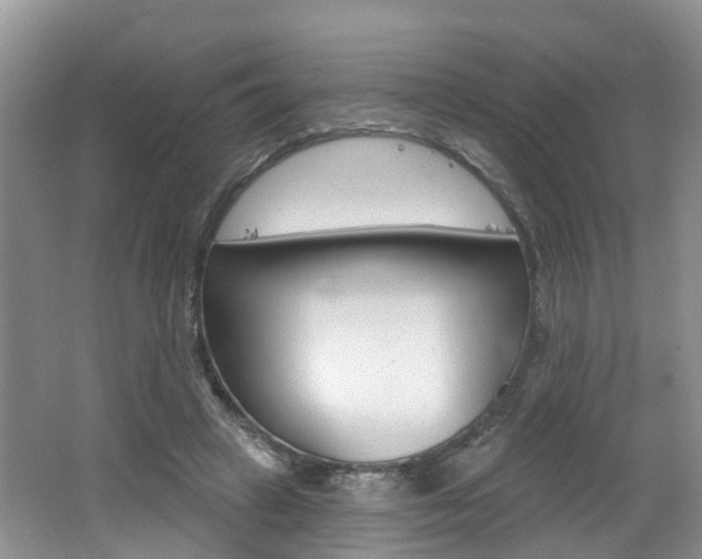 X0000062140449200512091021