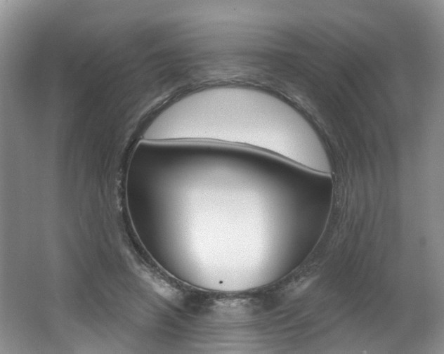 X0000062140450200512091021