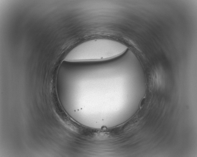 X0000062140451200512091021