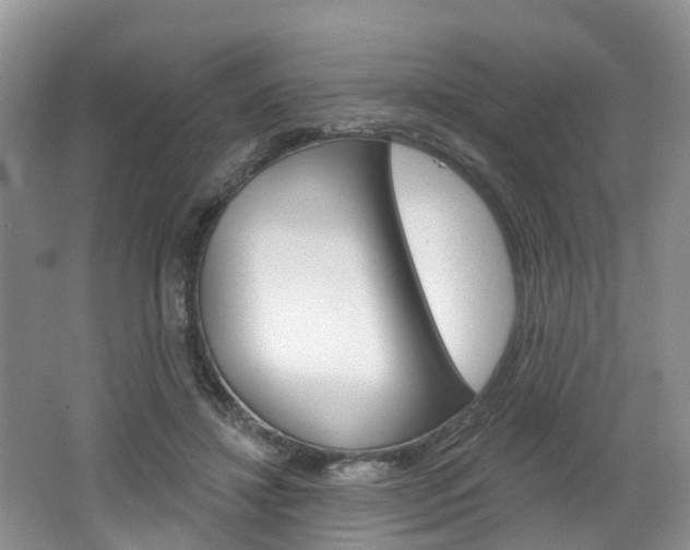 X0000062140452200512091021