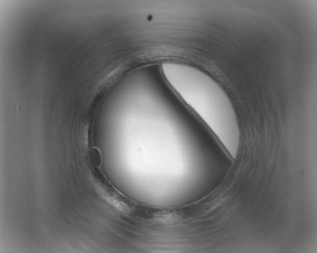 X0000062140454200512091021