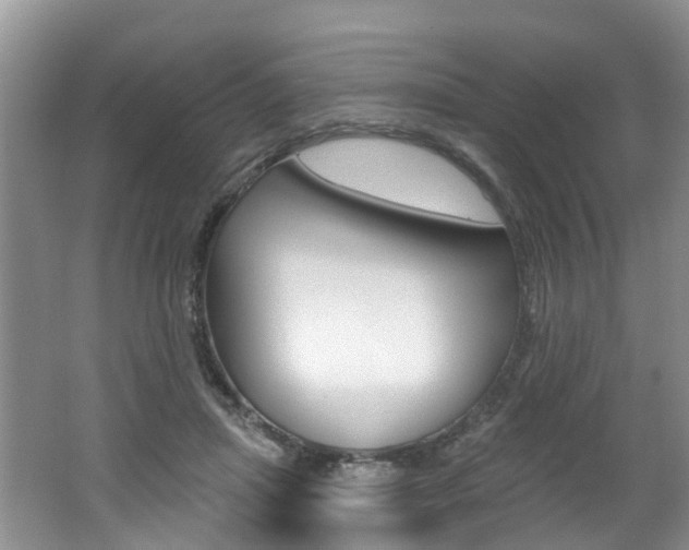 X0000062140455200512091021