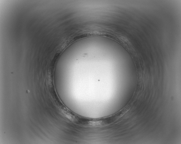 X0000062140457200512091021