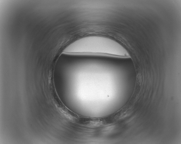 X0000062140458200512091021