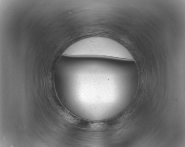 X0000062140461200512091021