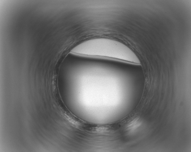 X0000062140462200512091021