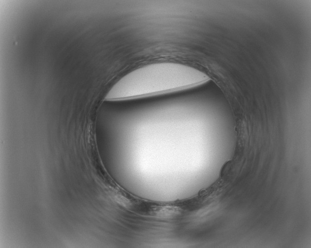 X0000062140463200512091021