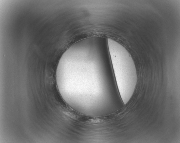 X0000062140464200512091021