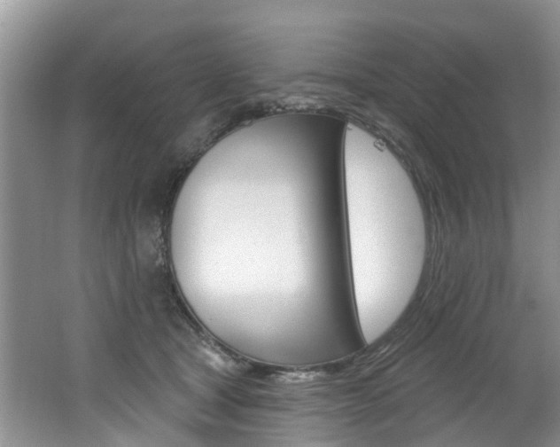 X0000062140465200512091021